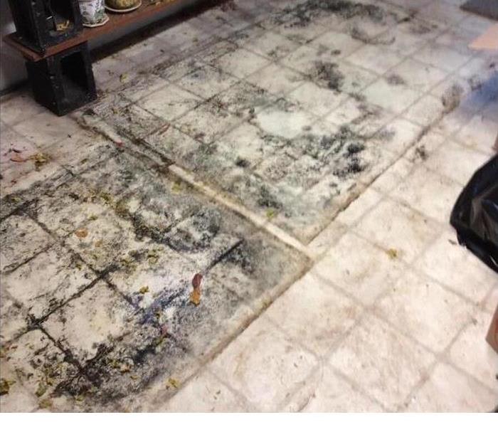 mold infested vinyl flooring