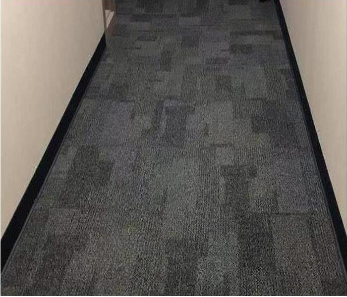 clean and dry carpet in hallway