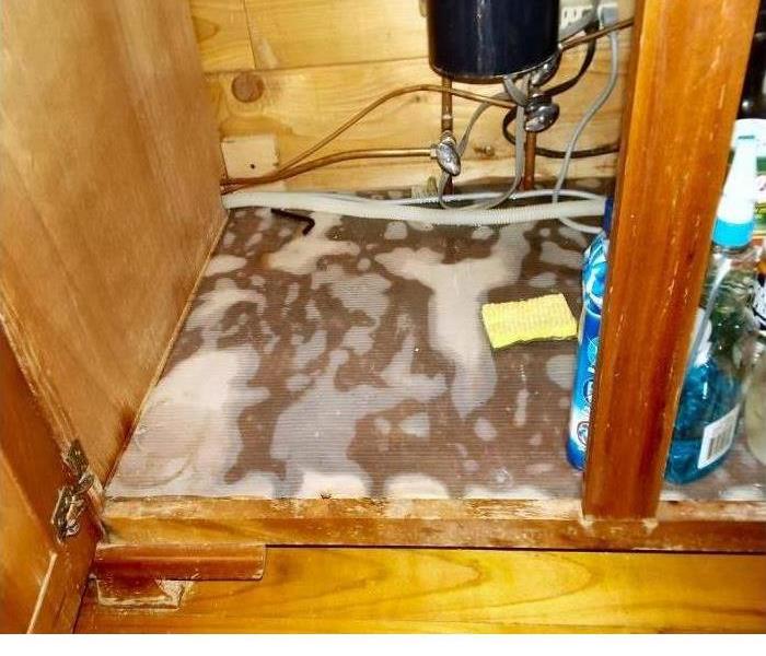 puddled water under a sink