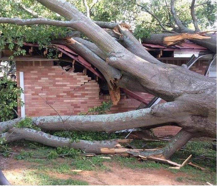 huge tree fallen on a house and fence